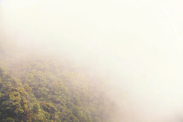 Landschaft der Nebelberge aus China — Stockfoto