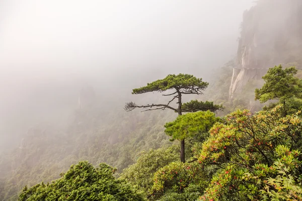 Landskap av dimma bergen i Kina — Stockfoto