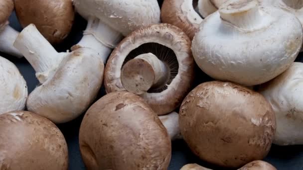 深色背景下的新采摘的白色棕色蘑菇轮作. — 图库视频影像