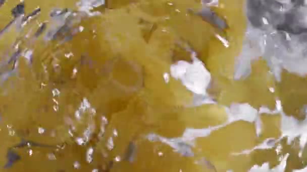 Pasta falling into boiling water. Pasta falling into water was shot in slow motion — Stock Video