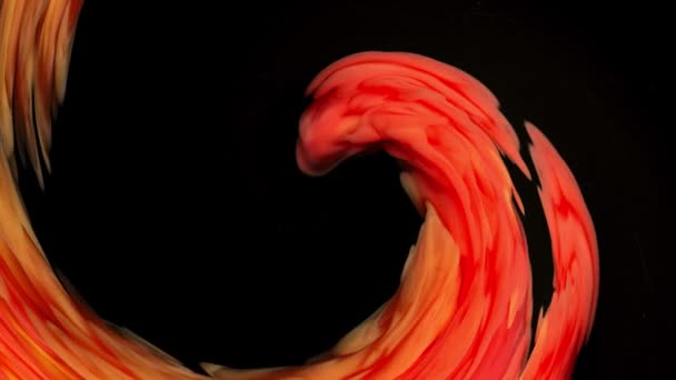 Míchaný červený inkoust v pozadí vody na černém pozadí, při vytváření krásných vírových tvarů. — Stock video