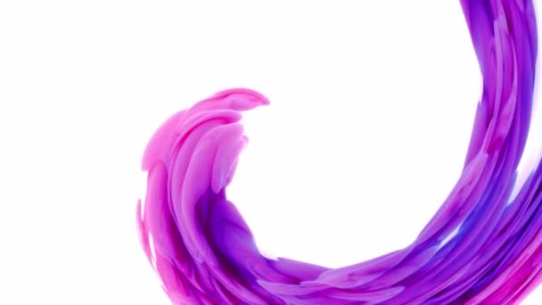 Blended Violet inkt in de witte achtergrond van water, terwijl het creëren van mooie wervelvormen — Stockvideo
