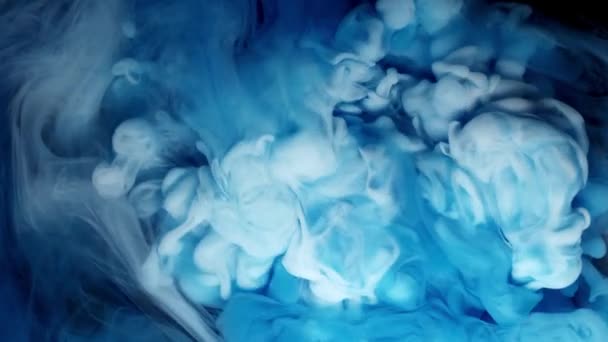 Синьо-біле хмарне чорнило у воді на білому тлі, повільний рух — стокове відео