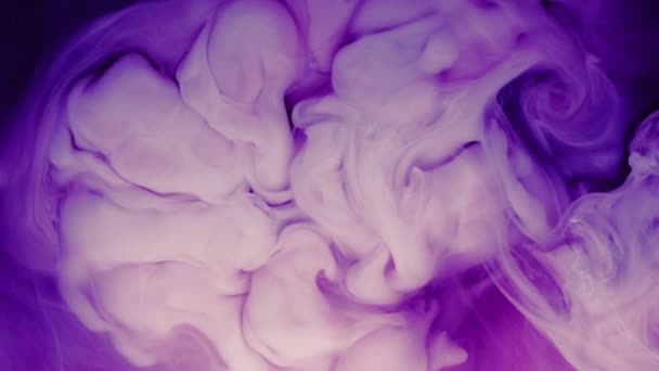 Seni Cair. Campuran cat kreatif ungu dan putih — Stok Video