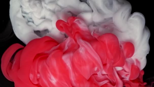 Inchiostro bianco e rosso in acqua, spruzzi di vernice miscelazione. Colorato rosso e bianco gocce di vernice mescolando in acqua. — Video Stock