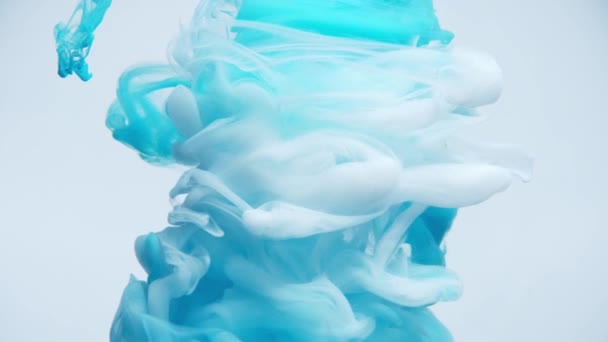 Niebieski tusz spadł do wody na białym tle — Wideo stockowe