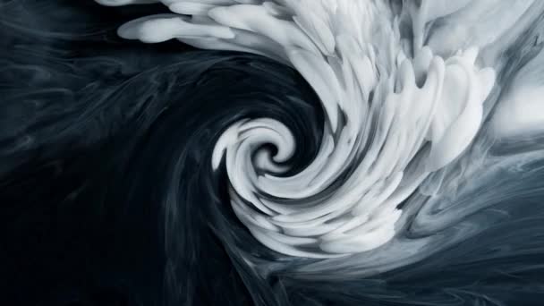 Tinta hitam berputar perlahan dalam air. Latar belakang swirl abstrak — Stok Video