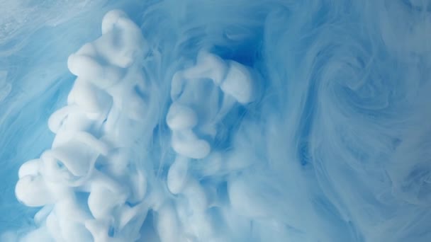 White and Blue cloud abstract ink mixed in water. — Stock Video