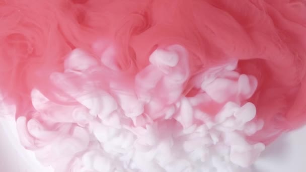 Witte en roze acrylverf gemengd in water. Langzame beweging — Stockvideo