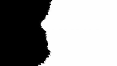 Mürekkep çiçeği. İzole edilmiş arkaplanda siyah ve beyaz lekeler