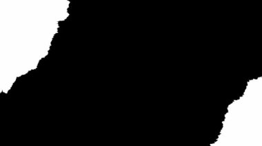 Mürekkep çiçeği. İzole edilmiş arkaplanda siyah ve beyaz lekeler