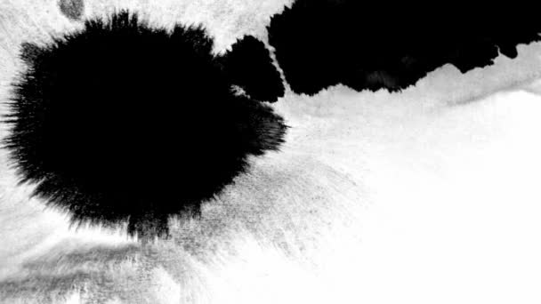 Floración de tinta. Manchas blancas y negras sobre fondo aislado — Vídeos de Stock