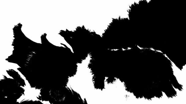 Το μελάνι ανθίζει. Όμορφη μαύρη υδατογραφία μελάνι σταγόνες μετάβαση — Αρχείο Βίντεο