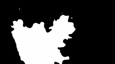 Mürekkep çiçeği. Siyah arkaplanda beyaz soyut lekeler