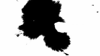 Mürekkep çiçeği. İzole edilmiş beyaz arka planda siyah mürekkep lekeleri. mürekkep damlaları geçişi