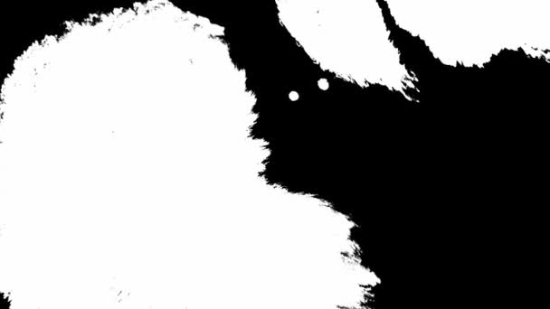 Witte verf lost zwarte achtergrond op. Mooie zwarte aquarel inkt druppels overgang — Stockvideo