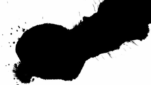 Μαύρο μελάνι σε λευκό απομονωμένο φόντο. Όμορφη μαύρη υδατογραφία μελάνι σταγόνες μετάβαση — Αρχείο Βίντεο
