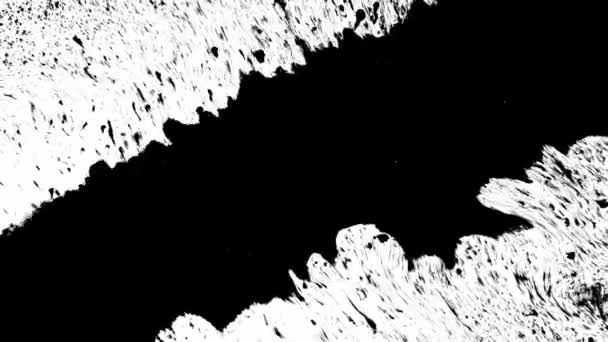 黑色墨水在白色孤立的背景上.美丽的黑色水彩墨水滴过渡 — 图库视频影像