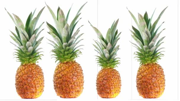 Ananasrotatie geïsoleerd op witte achtergrond, vers fruit — Stockvideo