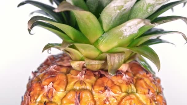 Z bliska widok dojrzałego ananasa, jak obraca się powoli przed białym tle studio Zawieszony w powietrzu — Wideo stockowe