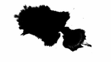 Siyah mürekkep beyaz kağıda dökülür ve güzel çizgiler oluşturur. Güzel siyah suluboya mürekkep değişimi