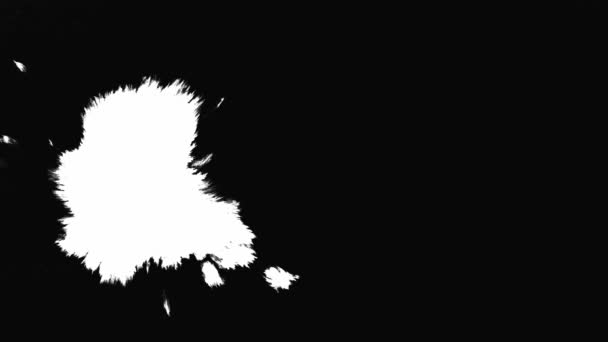 Чернила цветут. белые чернила пятна на изолированном черном фоне. Переход чернил — стоковое видео