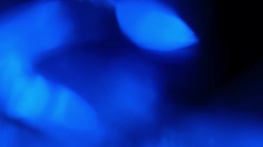 Hafif Bokeh Efekti. Soyut arkaplan 4k