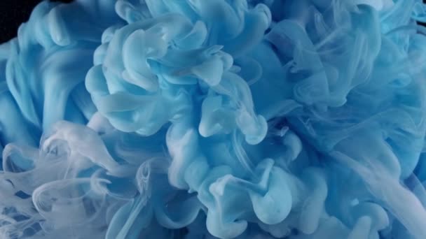 Blue and white acrylic paint mixed in water on abstract meditative background — Video