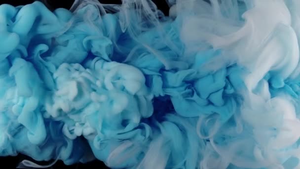 Blue and white acrylic paint mixed in water on abstract meditative background — Vídeo de stock