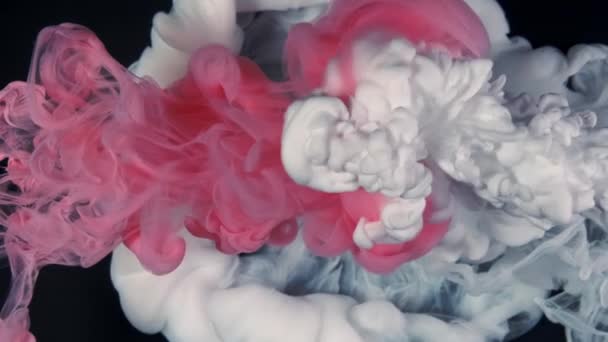 Coloured acrylic ink mixing in water on black background. Abstract art background. Pink and white ink — Stock video