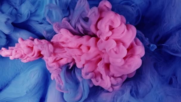Pinke und blaue Farbtropfen im Wasser. Moderne Abstraktion — Stockvideo