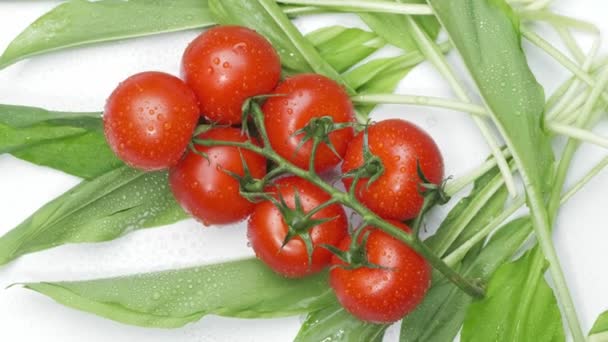 Belles tomates de légumes naturels sur une branche sur l'ail sauvage vert — Video