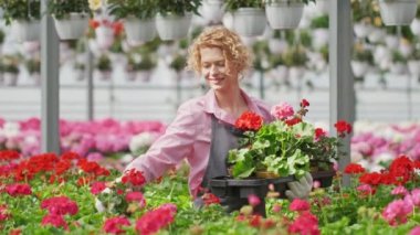 Serada çiçek saksısı taşıyan sarışın kadın çiçekçi onları satılığa çıkarıyor. Çiçek dükkanı hazırlığı.