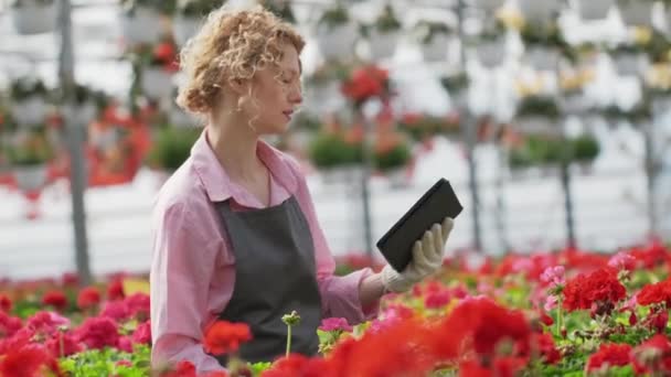 ผู้หญิงที่มีแท็บเล็ตดิจิตอล ทํางานในเรือนกระจก เกษตรกรควบคุมดอกไม้ในเรือนกระจก . — วีดีโอสต็อก