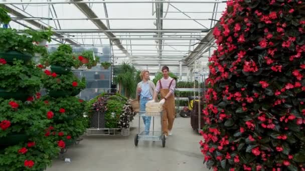 卷曲的金发女人在植物区系的温室市场上购买装饰植物。家庭与花园概念. — 图库视频影像