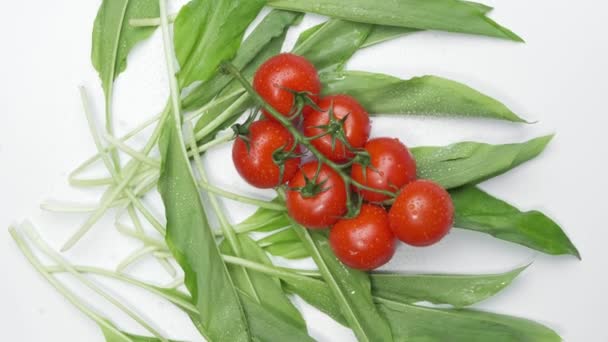 Tomates fraîches sur fond blanc, vue de dessus — Video