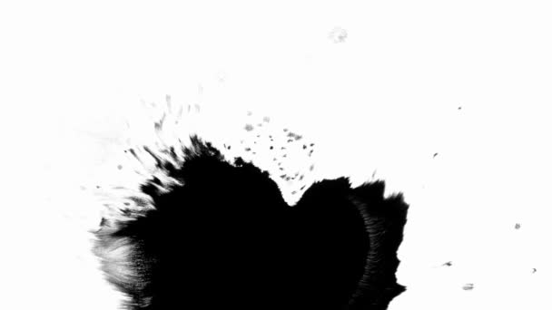 Goutte d'encre sur fond blanc noir, Images d'encre — Video