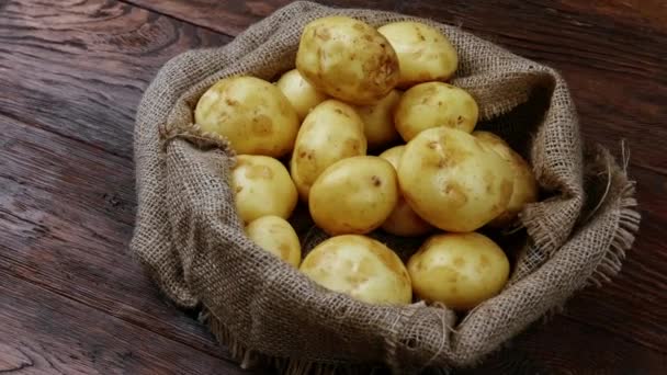 Récolter les pommes de terre dans un sac en toile de jute sur fond rustique. pose plate — Video