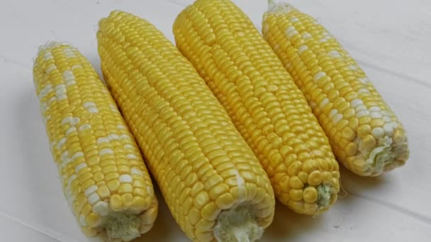 Macro View Grains jaunes épi de maïs Fond Alimentation Bio Fermer. Gros plan Maïs frais sucré en épi, ingrédient Préparer pour les aliments biologiques. — Video