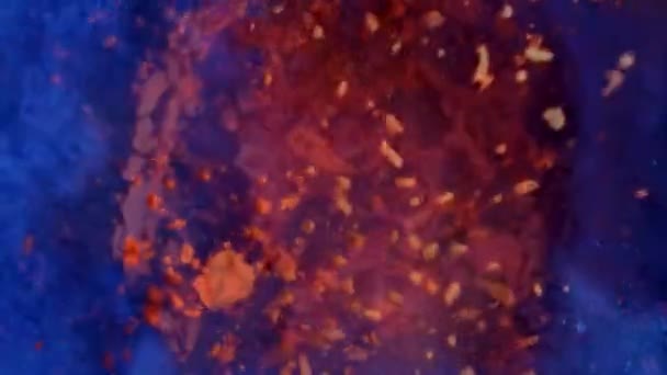 Mezclar polvo de holi rojo y azul. emociones navideñas. fondo abstracto de color — Vídeos de Stock