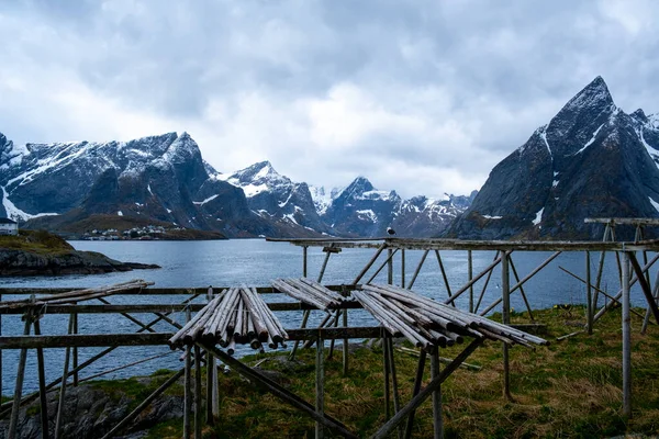 Lofoten Norge landsby Norsk tradisjon – stockfoto