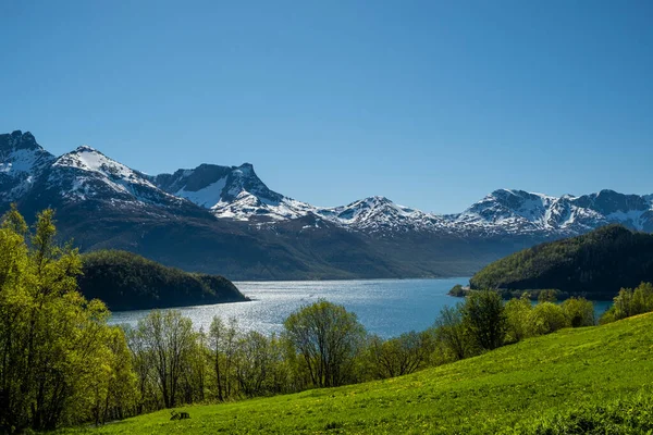 Vakkert landskap på øya lofoten Turistdestinasjon Norge royaltyfrie gratis stockbilder