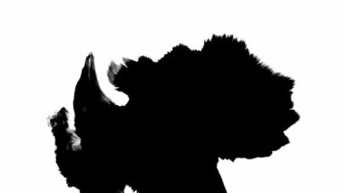 Arka plan ve geçişler için uygun huysuz dokulara sahip çok yönlü siyah mürekkep animasyonları