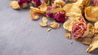 Kurumuş çiçeklerle gri arkaplanda metin boşluğu 