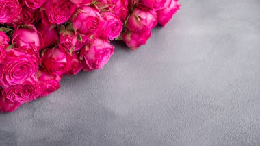 Gri arkaplan üzerinde güller olan metin boşluğu. 