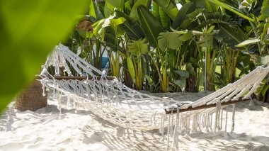 Kumsalda boş bir hamak