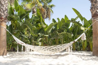 Kumsalda boş hamak. Seyahat kavramı