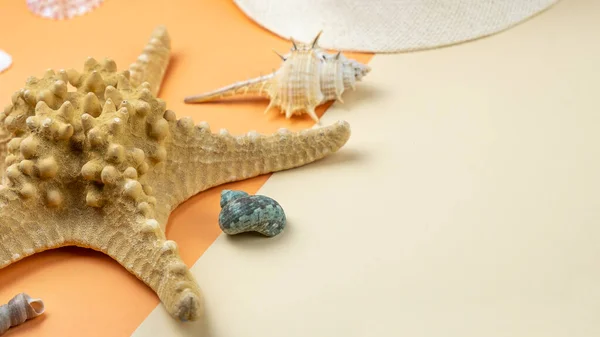 Summer Background Sea Star Seashells Copy Space — Stock Photo, Image