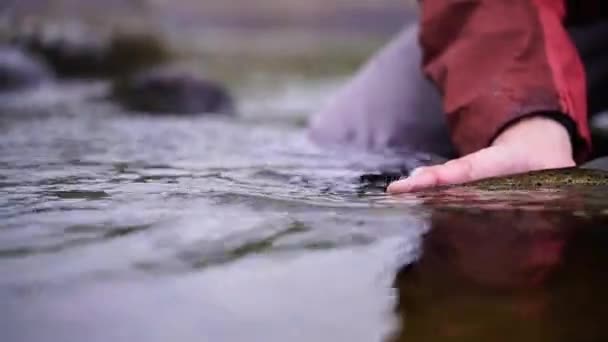 Ένας ψαράς απελευθερώνει άγρια καφέ πέστροφα του Ατλαντικού στο κρύο νερό — Αρχείο Βίντεο