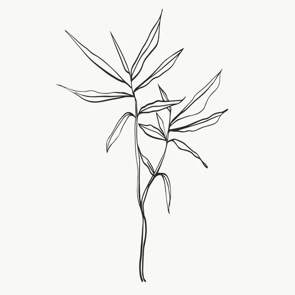Botaniska Blad Linje Konst Abstrakta Moderna Eller Minimala Växter Linje — Stock vektor